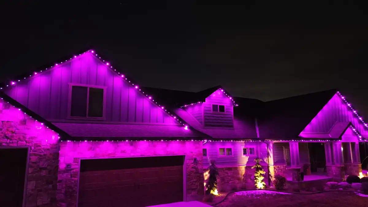 Professional holiday lighting installation in Camden SC
